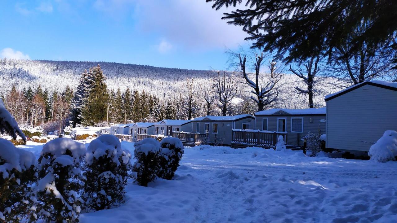 Les Granges Bas - Tiny House - - Mobilhomes Campsite Gerardmer